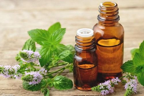 Dầu bạc hà và những tác dụng đối với sức khỏe đã được khoa học chứng minh