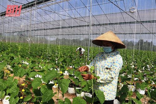 Thường Xuân 'vượt' nghèo