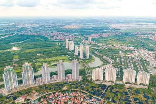 Người đầu tư bất động sản thường mua theo thói quen