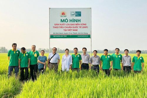 Tập đoàn Lộc Trời xác lập 3 kỷ lục Việt Nam