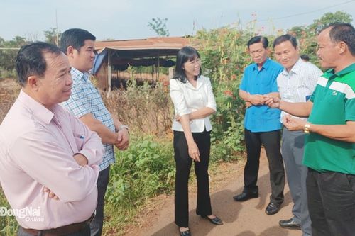 Liên kết để xây dựng hệ sinh thái hợp tác xã chăn nuôi