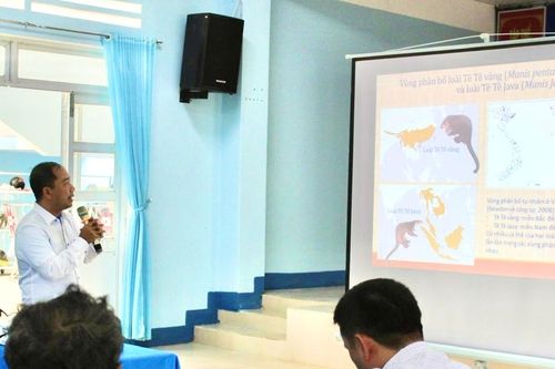 Xây dựng kế hoạch bảo tồn 2 loài tê tê quý, hiếm