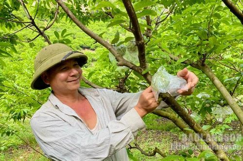 Hội Làm vườn Hữu Lũng Tích cực hỗ trợ hội viên phát triển kinh tế