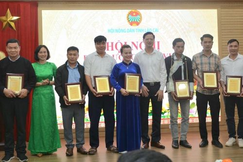 Hội Nông dân tỉnh biểu dương, tôn vinh nông dân có uy tín, xuất sắc năm 2023