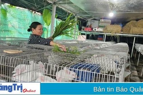 Thu nhập cao nhờ nuôi thỏ