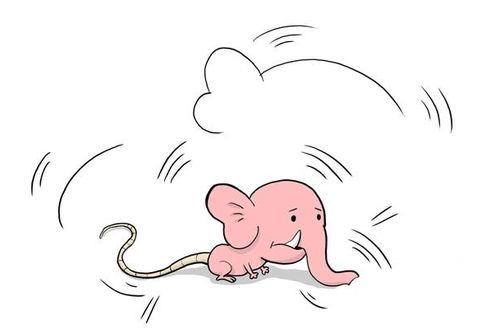 'Voi chui lỗ kim' làm mất niềm tin nghiêm trọng