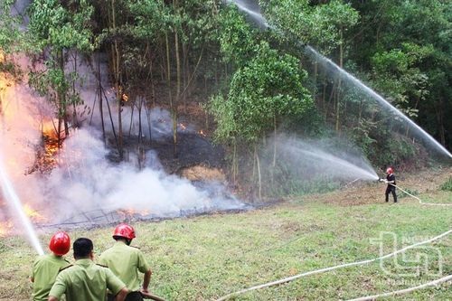 Diễn tập phòng cháy, chữa cháy rừng tại Phú Bình