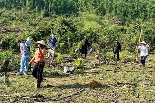131 tỷ đồng cho giảm phát thải khí nhà kính