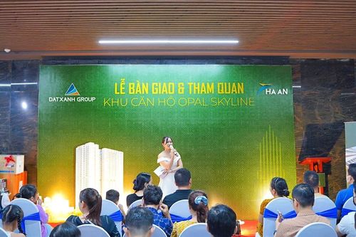 Việc bàn giao tại dự án Opal Skyline của Tập đoàn Đất Xanh (DXG) có thể chậm hơn dự kiến