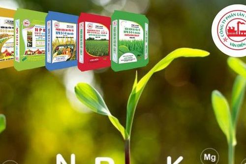 Phân bón Văn Điển: Chìa khóa nâng giá trị nông sản