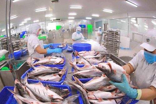 Tập đoàn Sao Mai (ASM) sẽ chuyển nhượng toàn bộ vốn tại 1 công ty thành lập từ năm 2000