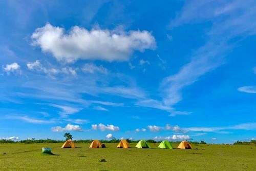 HTX Du lịch và Nông nghiệp Thảo nguyên Bùi Hui: Giúp đồng bào dân tộc thiểu số giảm nghèo