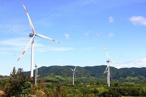 Xây hơn 20 trụ tua bin ngoài đất được cấp, chủ đầu tư nhà máy điện gió bị phạt 600 triệu đồng