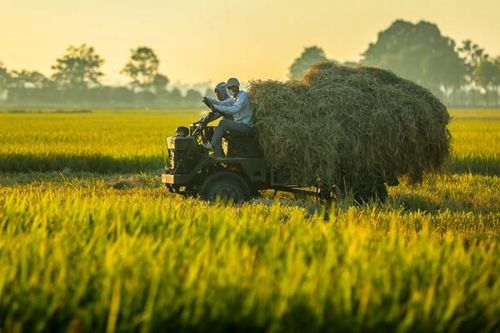 Sóc Trăng ứng dụng chuyển đổi số, hướng đến phát triển nông nghiệp bền vững