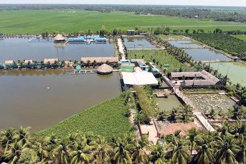 Tái cơ cấu nông nghiệp theo hướng bền vững sớm đưa Tam Bình cán đích huyện nông thôn mới