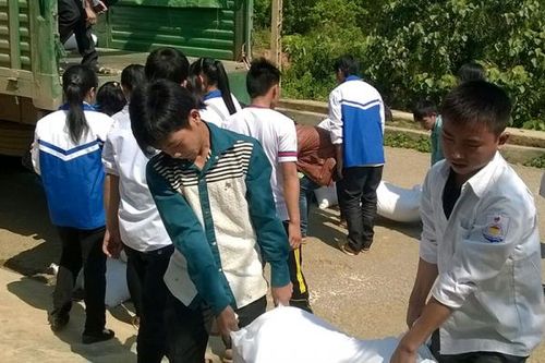 Hơn 109 nghìn tấn gạo dự trữ quốc gia đến tay người dân