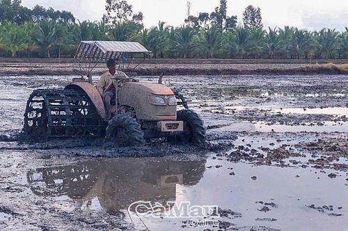 Ðẩy nhanh xuống giống lúa đông xuân