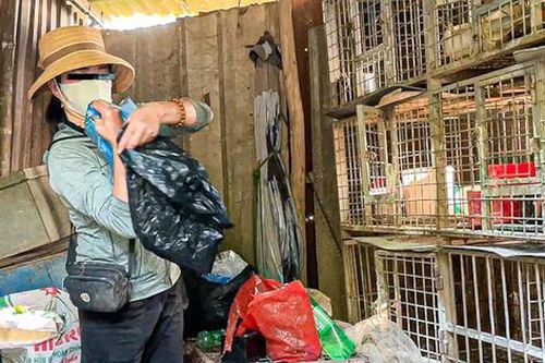 Cảnh buôn bán chim trời tấp nập 'né' cơ quan chức năng ở Hà Nội