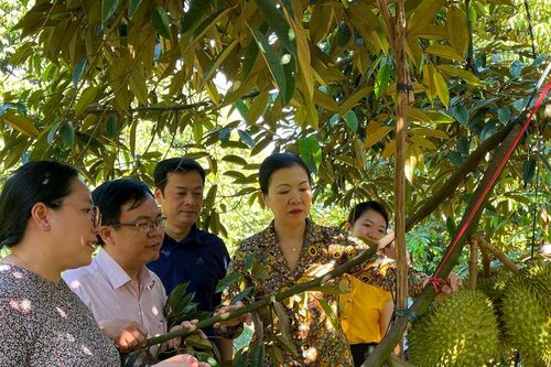 Nhân rộng mô hình hợp tác xã nông nghiệp