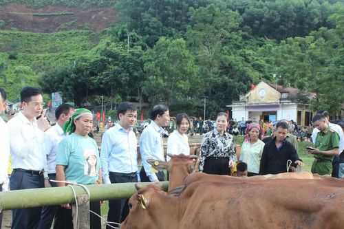 Sinh kế bền vững- đòn bẩy giúp bà con thoát nghèo.