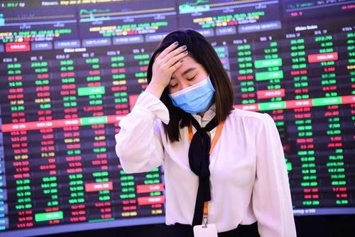 Cổ phiếu công ty của 'Bông hồng vàng' Phú Yên bị hủy giao dịch