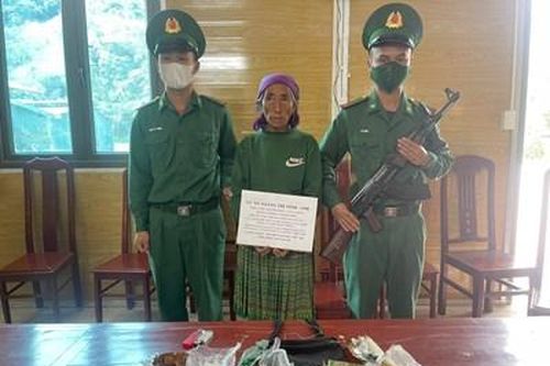 Bộ đội Biên phòng tỉnh Điện Biên bắt giữ đối tượng tàng trữ trái phép ma túy