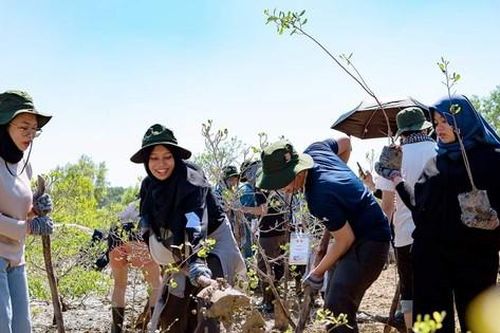 Bạn trẻ ASEAN và Nhật Bản cùng trồng cây xanh tại rừng ngập mặn Cần Giờ (TP. HCM)