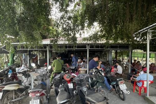 Vĩnh Long triệt xóa 2 tụ điểm cá cược đá gà ăn tiền