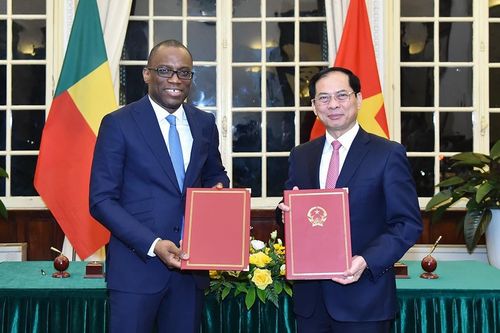 Bộ trưởng Ngoại giao Bùi Thanh Sơn hội đàm với Bộ trưởng Ngoại giao Benin Olushegun Adjadi Bakari