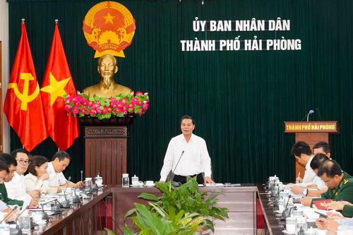 Hải Phòng: Khẩn trương xử lý dứt điểm các vi phạm đất đai tại Đồ Sơn và Cát Hải