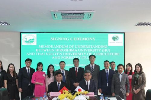 Trường đại học tốp đầu Nhật Bản mở phân viện tại Việt Nam từ tháng 10/2024