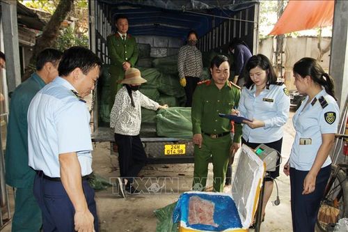Tiêu hủy 10 tấn nầm lợn không rõ nguồn gốc, xuất xứ