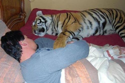 'Trước khi đi ngủ đừng sờ vào ba thứ, đừng làm ba việc', câu nói này có ý nghĩa gì?