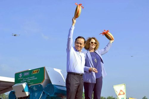 Dấu ấn 'Gạo xanh- Sống lành' tại Festival Quốc tế Lúa gạo Việt Nam