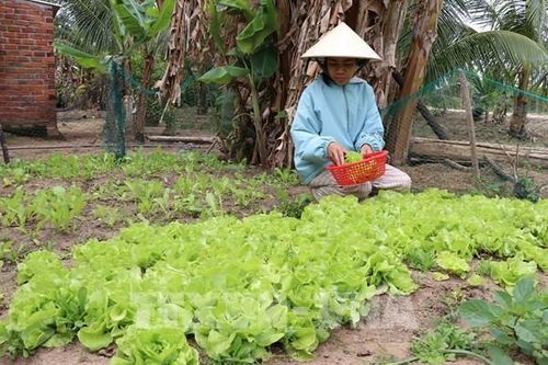 Thay đổi nếp nghĩ cách làm để thoát nghèo bền vững