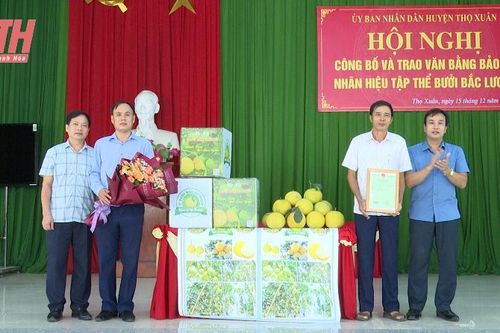 Công bố nhãn hiệu tập thể 'Bưởi Bắc Lương'