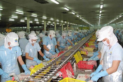An Giang: 'Chạy nước rút' hoàn thành nhiệm vụ cuối năm