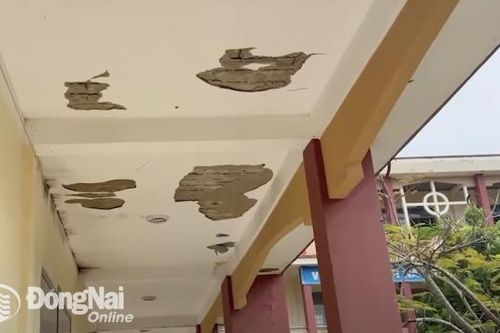 Dự kiến chi 1,2 ngàn tỷ đồng để sửa chữa, mua sắm thiết bị trường học từ nay đến hết năm 2025