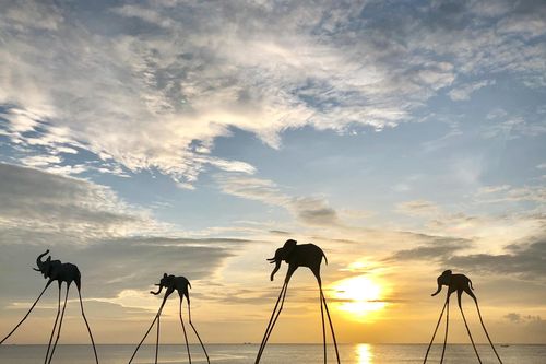 Việt Nam là điểm đến hoàn hảo để bắt đầu một năm mới