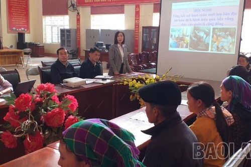 Nuôi lợn bản địa an toàn dịch bệnh cho thu nhập cao hơn 20% so với nuôi đại trà