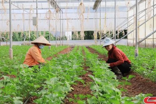 Phát huy hiệu quả phong trào thi đua 'Dân vận khéo'