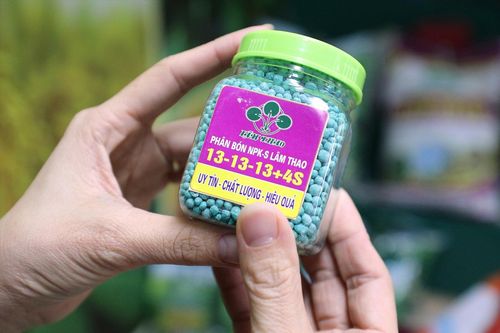 Supe Lâm Thao: hành trình khẳng định giá trị phân bón Việt