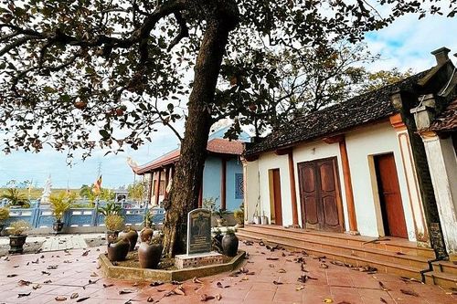 Nho Quan (Ninh Bình): Ngôi đình cổ có 4 cây Di sản Việt Nam