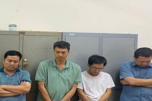 Khai thác đất trái phép, giám đốc công ty ở Đồng Nai bị khởi tố