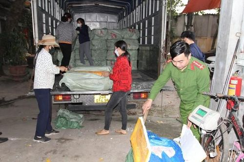 Bắt giữ xe chở nầm lợn từ Lào Cai về Yên Bái