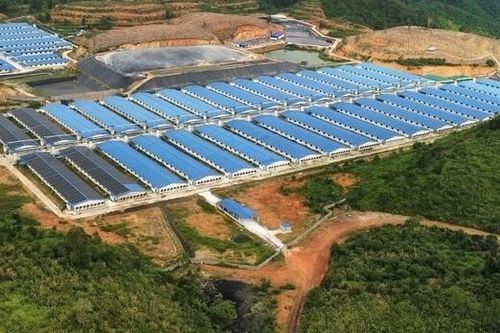 Đắk Nông: Yêu cầu dừng cung cấp con giống cho các trang trại vi phạm bảo vệ môi trường