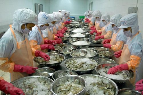 Các 'ông lớn' ngành tôm được dự báo tăng doanh thu năm 2024