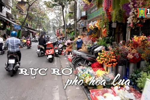 Rực rỡ phố hoa lụa | Nhịp sống Hà Nội | 15/12/2023