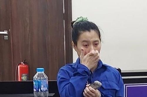Chiếm đoạt tiền của Bệnh viện Thẩm mỹ Thu Cúc để chơi cờ bạc