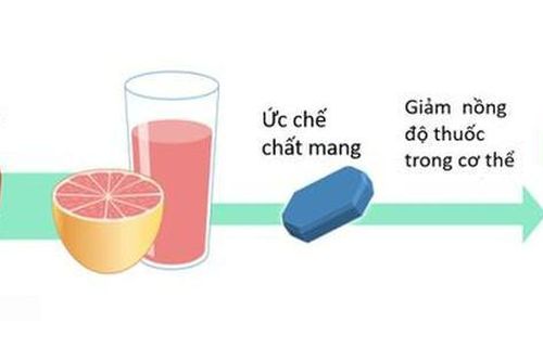 7 loại thuốc phổ biến không dùng cùng nước ép bưởi hoặc ăn bưởi